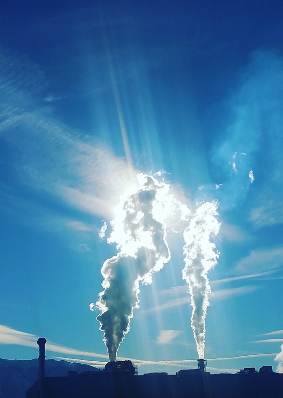  一家造纸厂发现，Kalrez® 密封在二氧化氯服务中的使用寿命是原来的两倍。